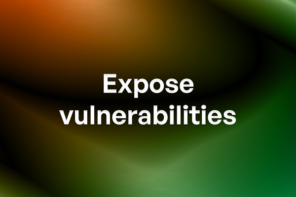 Expose vulnerabilities