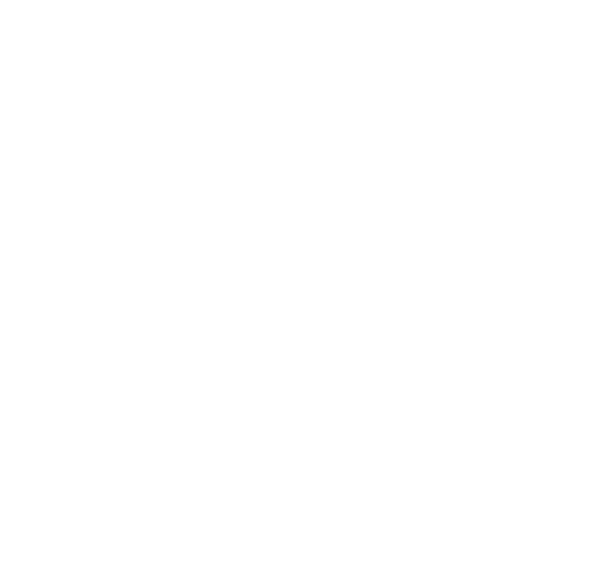Danish FA